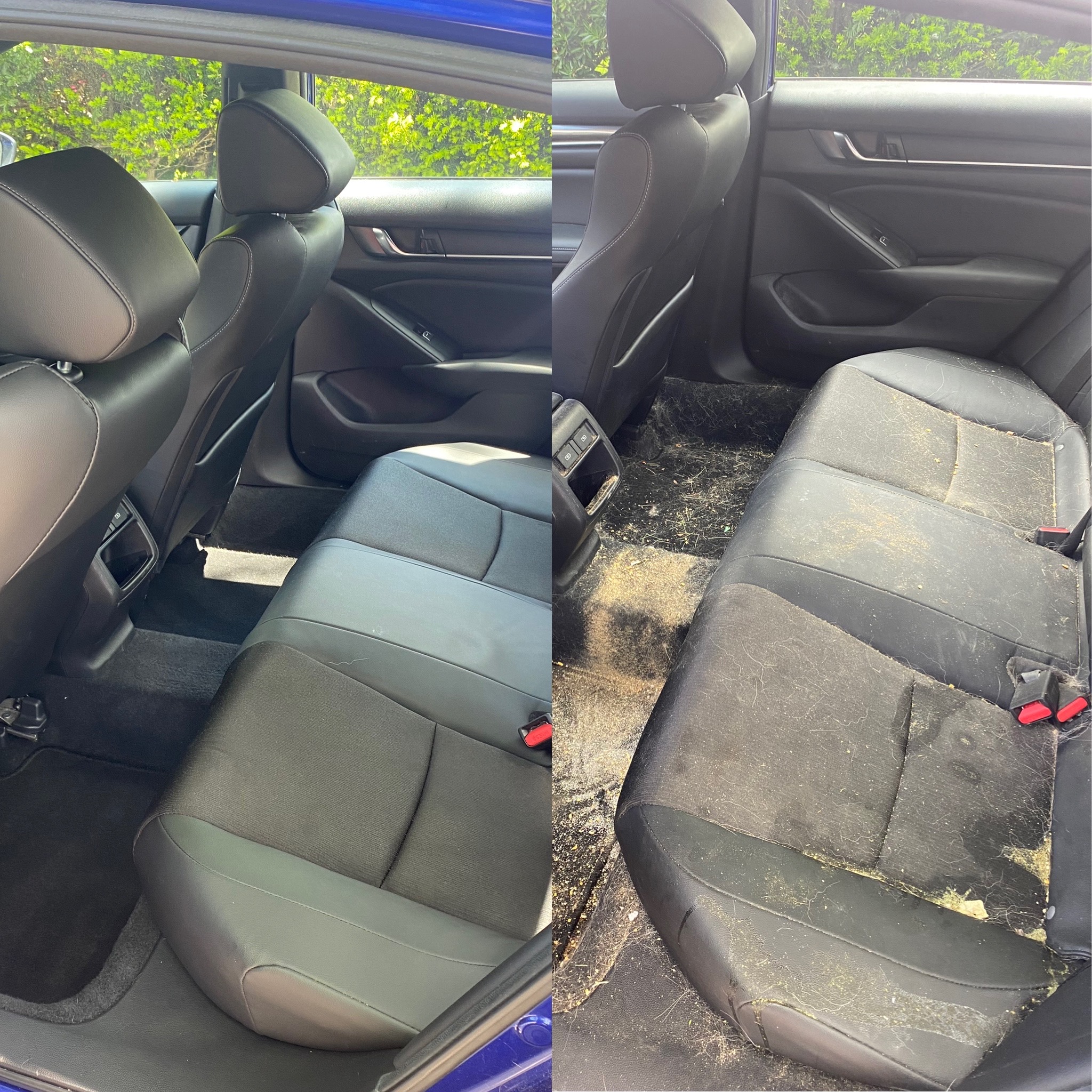 The back seat of a Honda accord with dog throw up, hair and dirt cleaned up in a before and after photo.